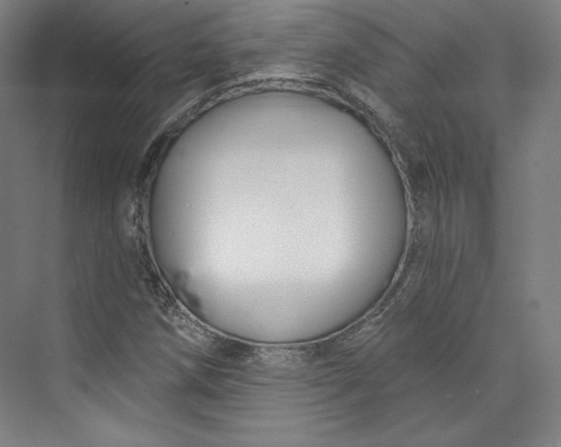 X0000073991258200609060948