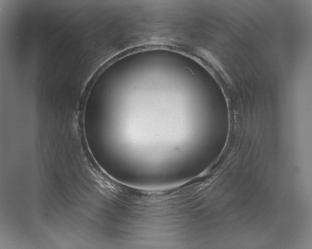 X0000073991260200609060948