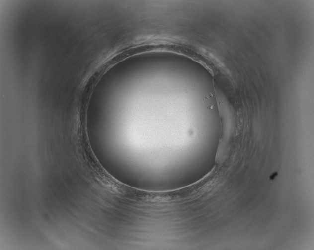 X0000073991261200609060948