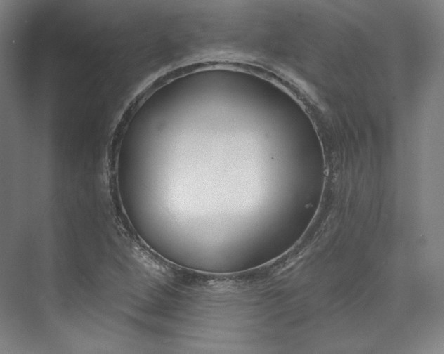 X0000073991264200609060948