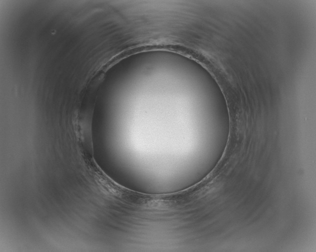 X0000073991265200609060948