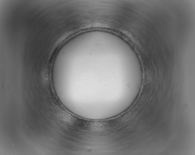 X0000073991266200609060948