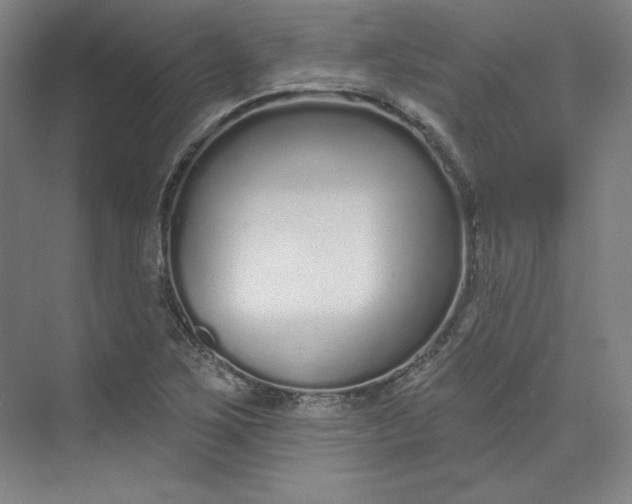 X0000073991267200609060948