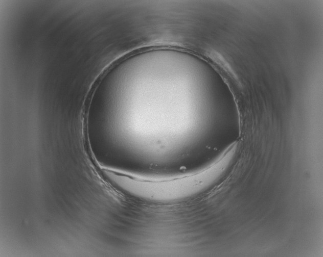 X0000073991268200609060948