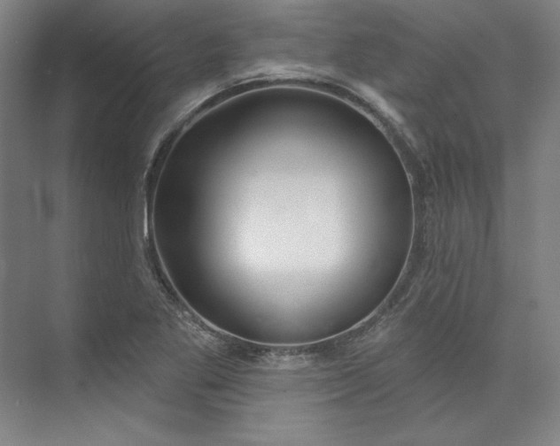 X0000073991269200609060948