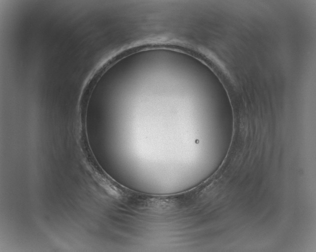 X0000073991270200609060948