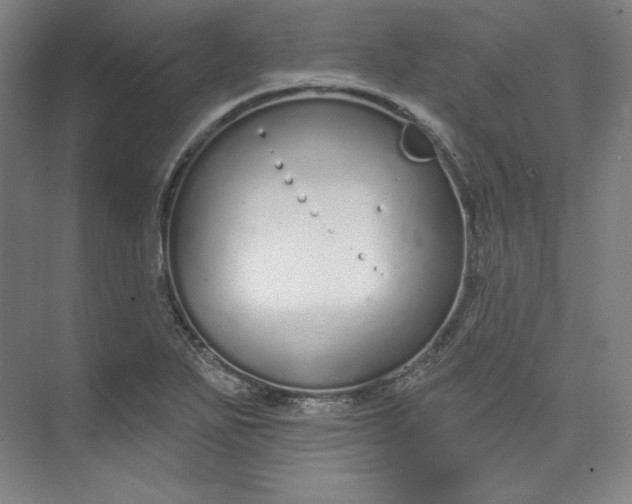 X0000073991271200609060948