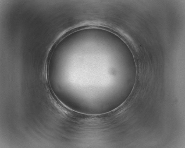 X0000073991272200609060948