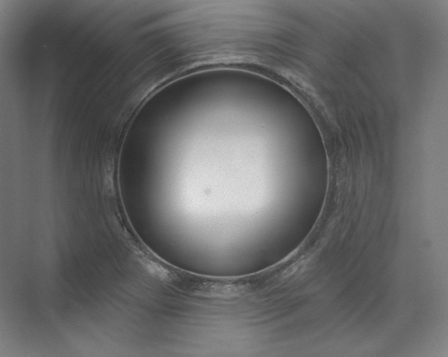 X0000073991273200609060948