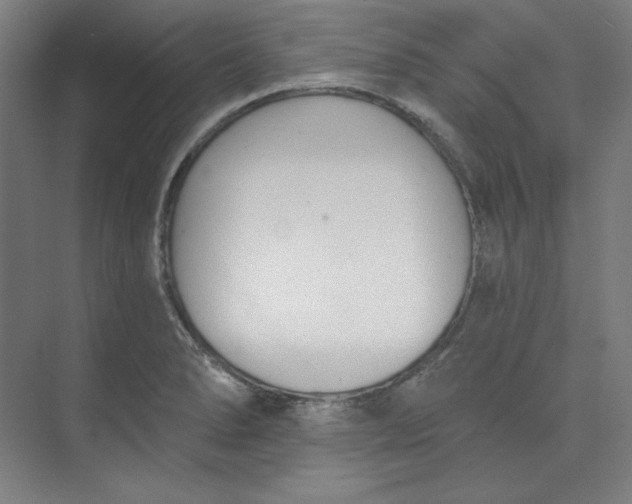 X0000073991278200609060948