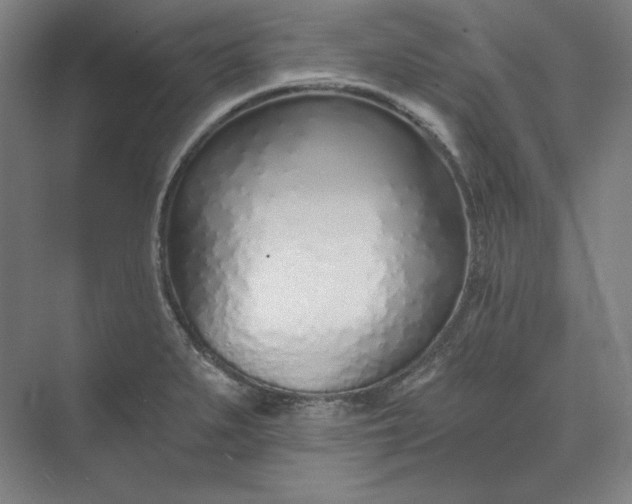 X0000073991279200609060948