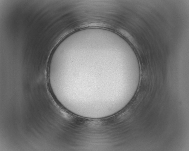 X0000073991282200609060948