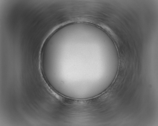 X0000073991286200609060948