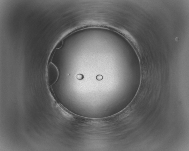 X0000073991287200609060948