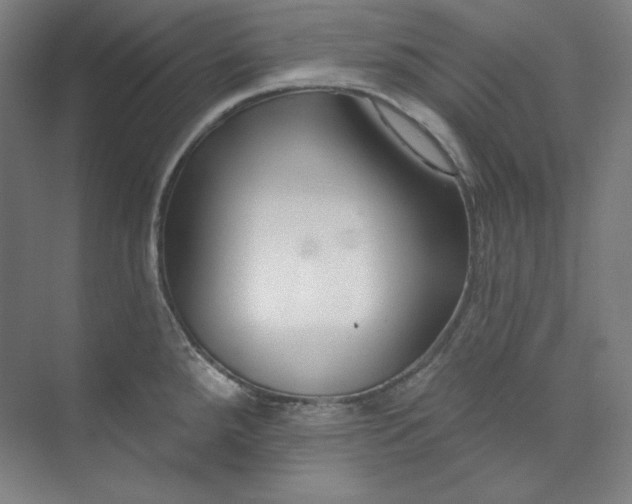 X0000073991288200609060948