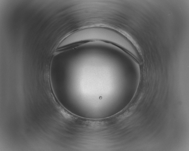 X0000073991289200609060948