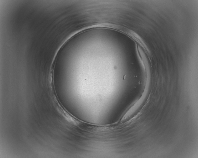 X0000073991292200609060948