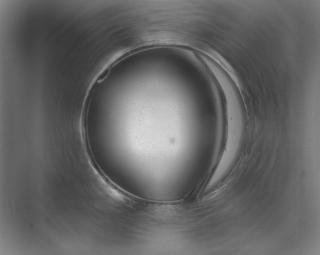 X0000073991293200609060948