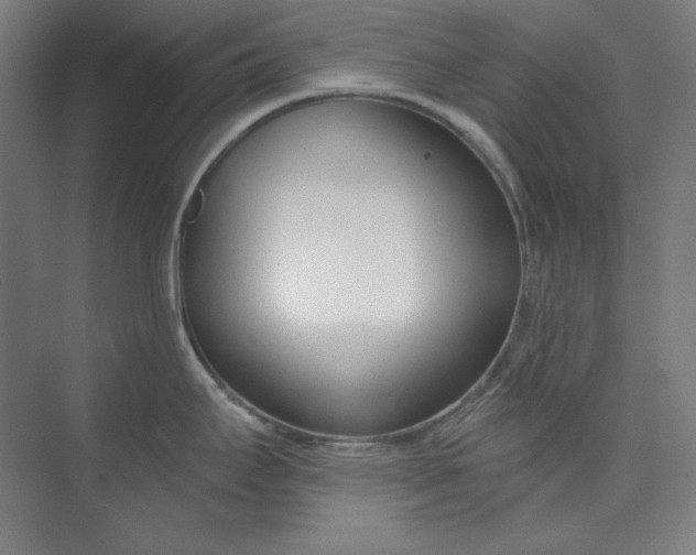 X0000073991295200609060948