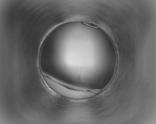 X0000073991296200609060948