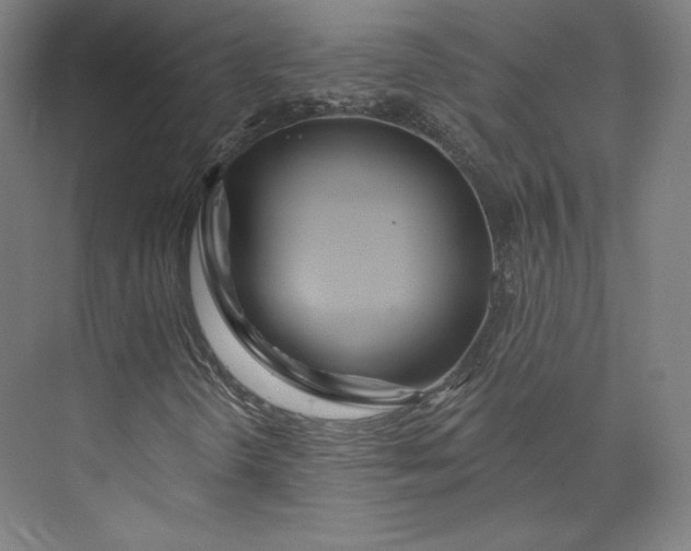 X0000073991298200609060947