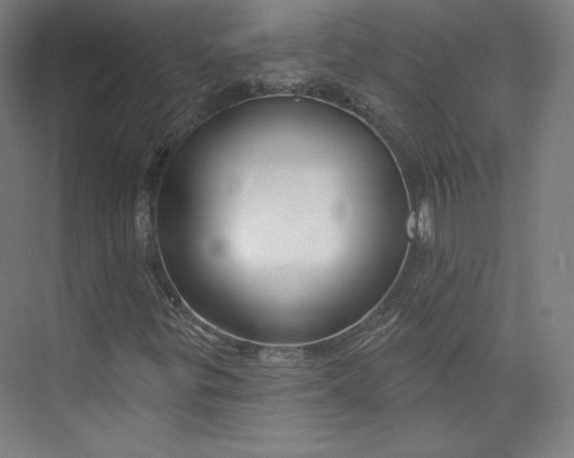 X0000073991299200609060947