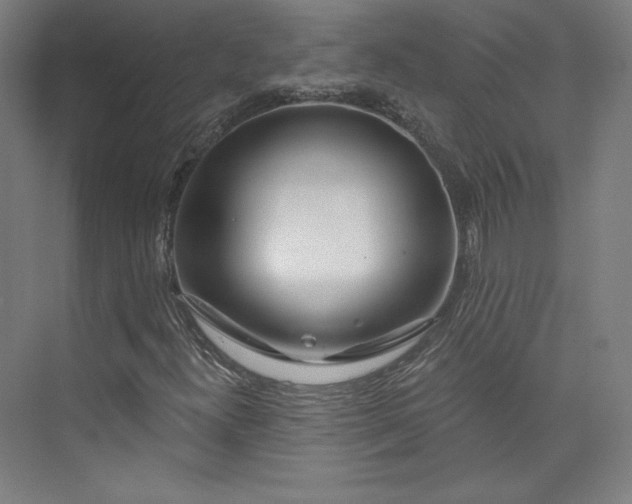 X0000073991300200609060947