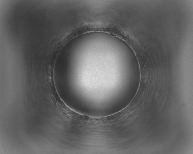 X0000073991301200609060947