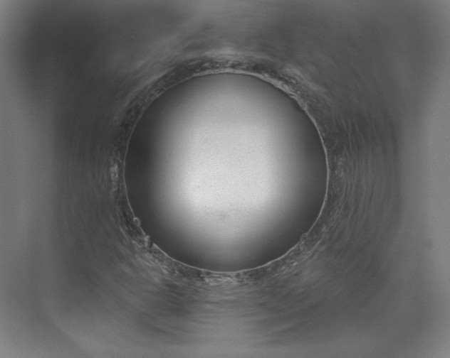 X0000073991302200609060947