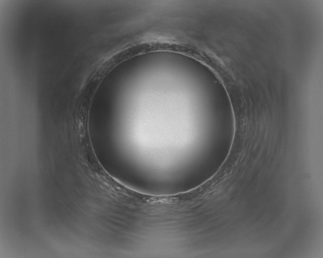 X0000073991303200609060947