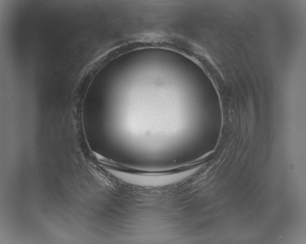 X0000073991304200609060947