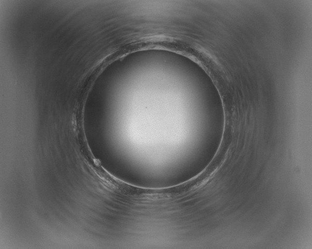 X0000073991305200609060947