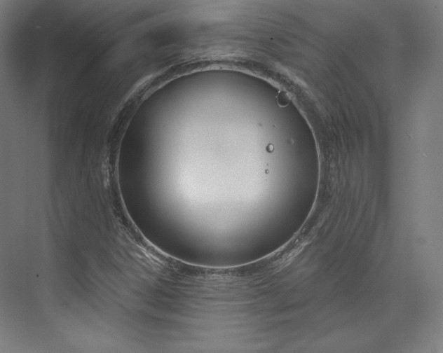 X0000073991306200609060947