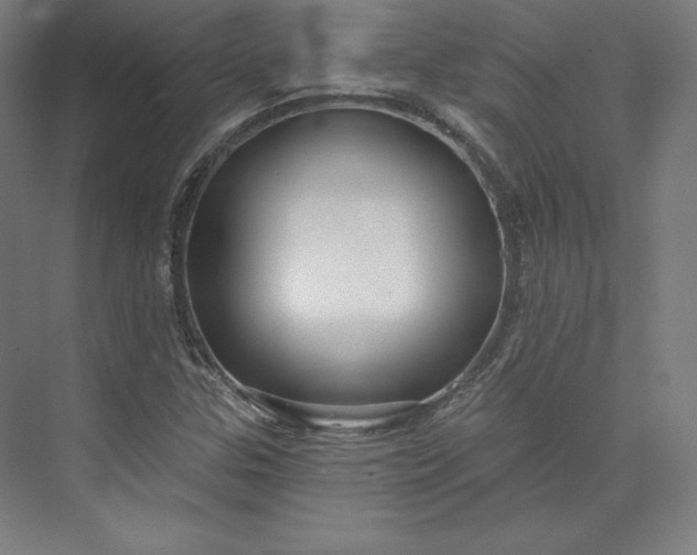 X0000073991307200609060947