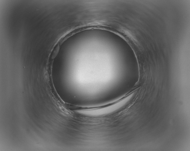 X0000073991308200609060947