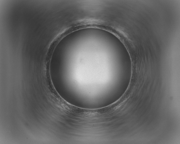 X0000073991309200609060947