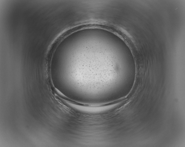 X0000073991310200609060947