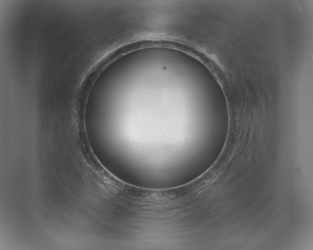 X0000073991311200609060947