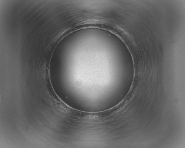 X0000073991313200609060947