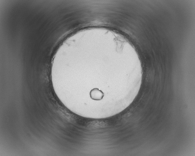 X0000073991314200609060947