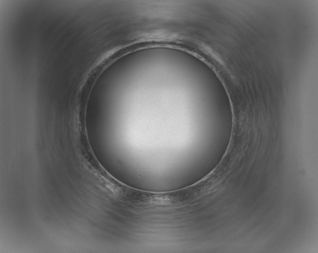 X0000073991315200609060947