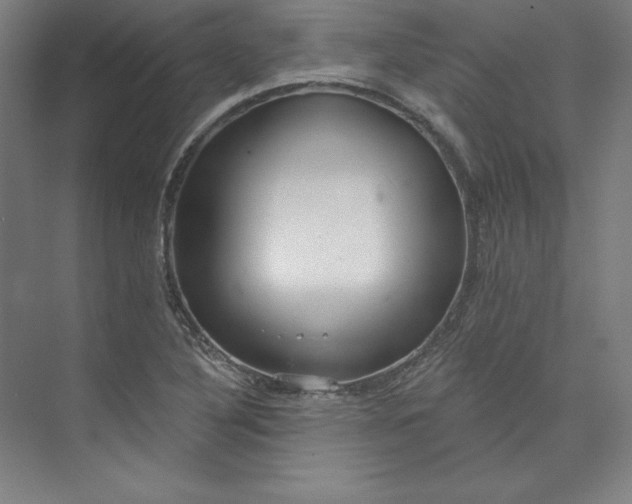 X0000073991316200609060947