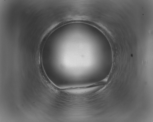 X0000073991317200609060947