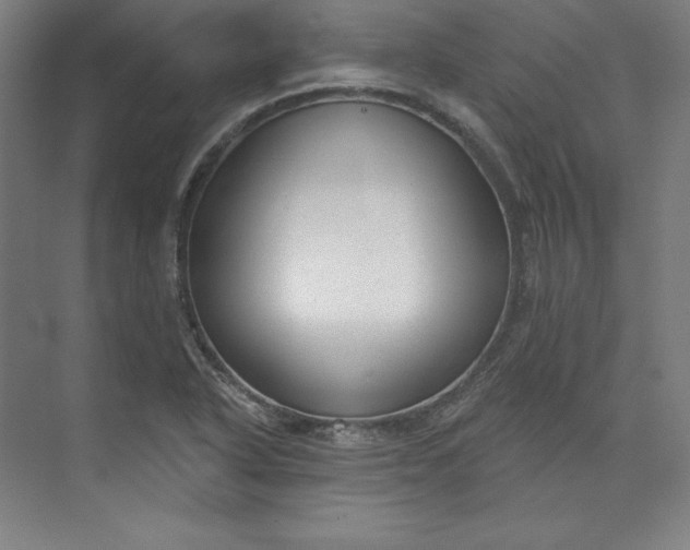 X0000073991318200609060947