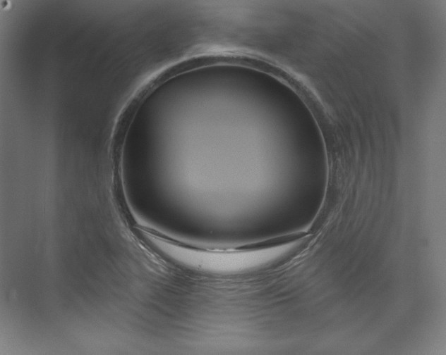 X0000073991319200609060947