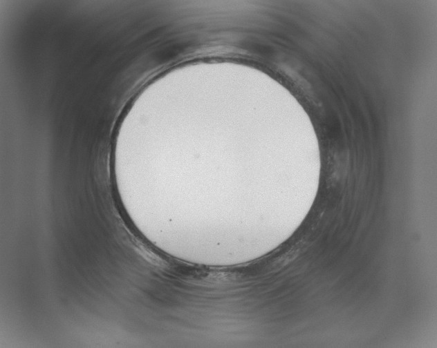 X0000073991322200609060947