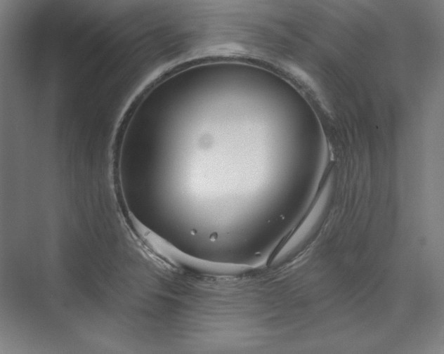 X0000073991326200609060947