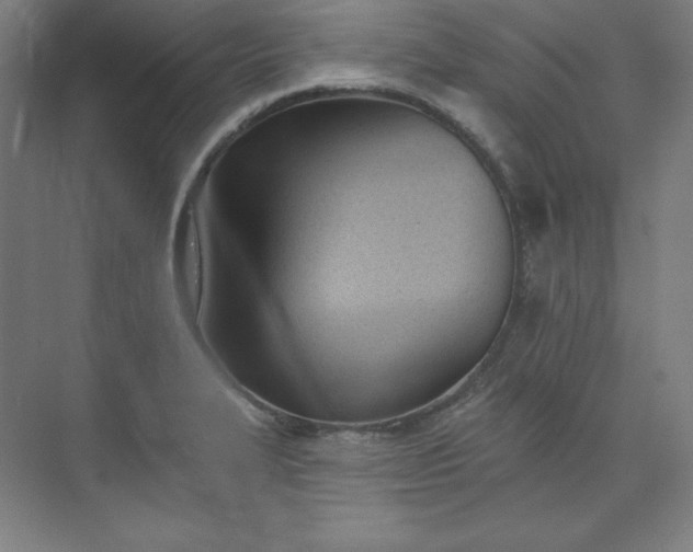 X0000073991327200609060947