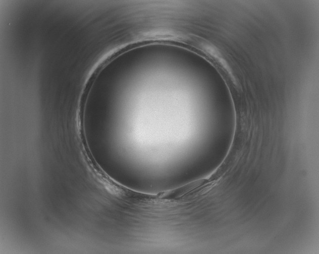 X0000073991328200609060947