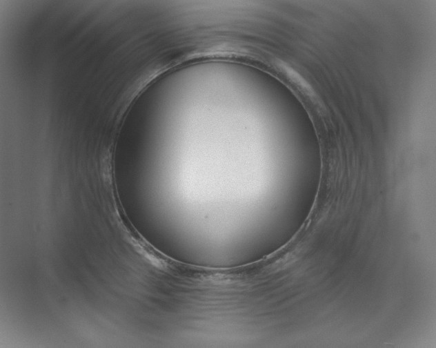 X0000073991329200609060947